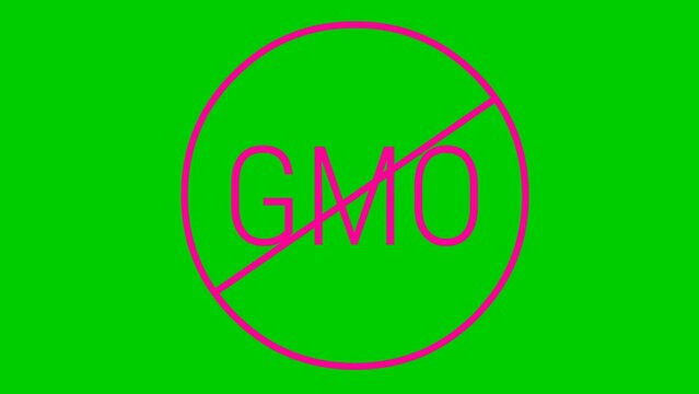 Animated pink icon GMO free. Non genetically modified foods. Vector illustration isolated on green background.