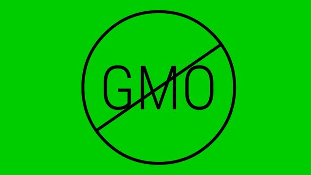 Animated black icon GMO free. Non genetically modified foods. Vector illustration isolated on green background.