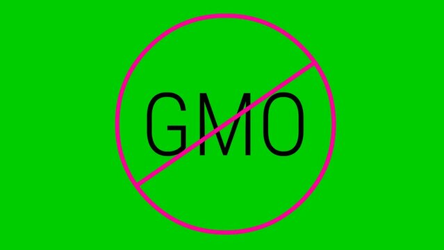 Animated pink icon GMO free. Non genetically modified foods. Vector illustration isolated on green background.