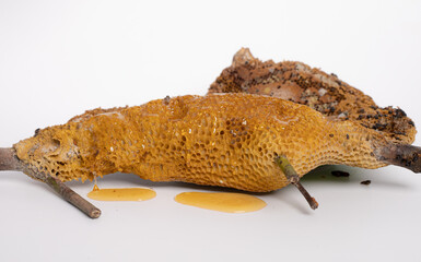 Fresh honeycomb from nature, honeycomb from the tree, on the white background