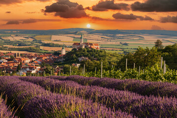 Beautiful landscape. View of the city of Mikulov in the Czech Republic in Europe. In the foreground...