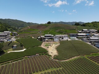 青空と山に沿って美しく並ぶ茶畑と麓の街並み