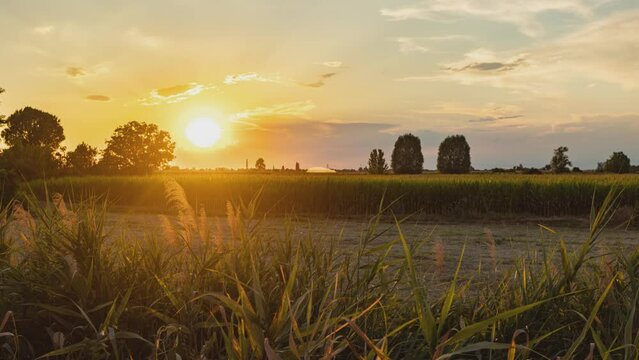Magnificent sunset over the fields landscape in summer season