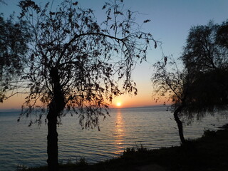 Sunset, the sea and trees on the shore of Glyfada, Greece