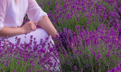 Woman in a field of lavender flowers in a white dress. selective focus