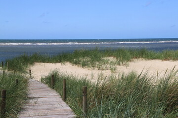 Fototapeta na wymiar a wooden path leads through dunes to the sea lined with tufts of grass