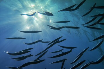 Life-giving sunlight underwater. Sun beams shinning underwater and shoal of fish in the blue water.