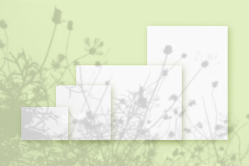 Natural light casts shadows from wildflowers of several Horizontal and vertical sheets of white textured paper against a green wall background. Mock up with an overlay of plant shadows