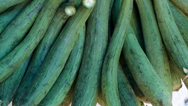 fresh organic sponge gourd from farm close up from different angle