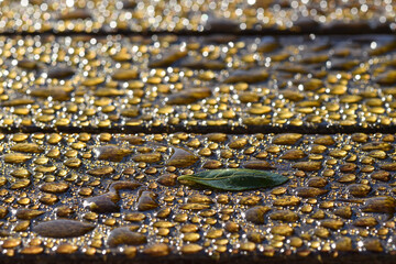 detalhe de madeira molhada com vários pingos de chuva. fundo fotográfico.