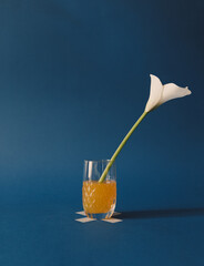 Art composition and beautiful shot of a white flower on a blue background
