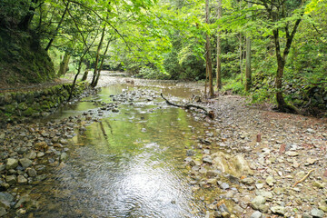 愛媛県西予市　桂川渓谷