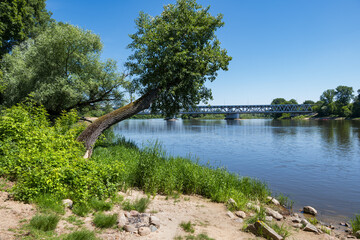 Narew River In Poland