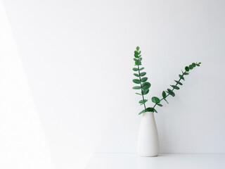 Home interior elegant floral vase decor, soft white composition. Beautiful green leaves branches in white tall vase on white wall background with copy space, minimal style. - obrazy, fototapety, plakaty