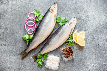 salted herring with red onion and parsley on stone background