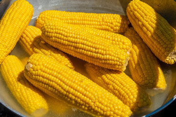 A pot full of boiled corn cobs.