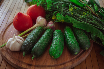 Fresh vegetables on a wooden table. Greens and dill for pickling vegetables.