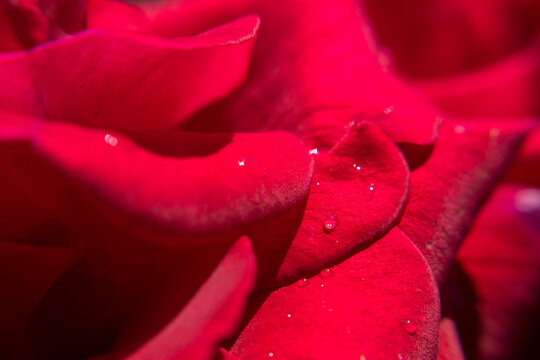 After Rain
