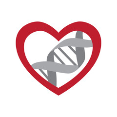 heart and DNA helix