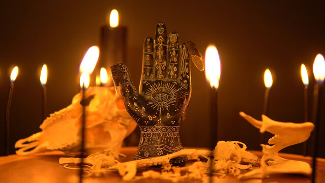 Fortune teller hand or palmistry on the witch table with animal bones and insects. Black palm and candles with cicadas bugs. Magic alchemy spirituality symbol. Palm reading in mystic, occult room.