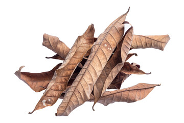 dry leaves, group of leaves, isolated on white background tropical dry leaves clipping path.