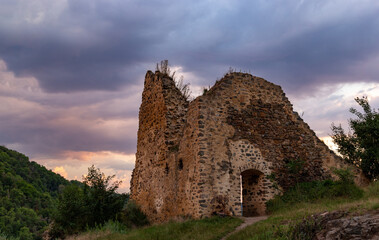Fototapeta na wymiar Ruins of a medieval fortress Tyrov. Central Bohemian region. Czechia.