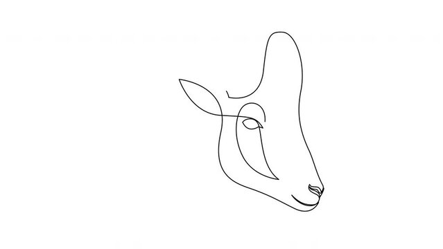 Self drawing animation of single continuous line sheep head for business logo identity. Lamb mascot emblem concept for ranch icon. Animated one line ram head.