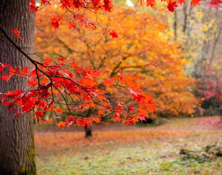 Warmest Season