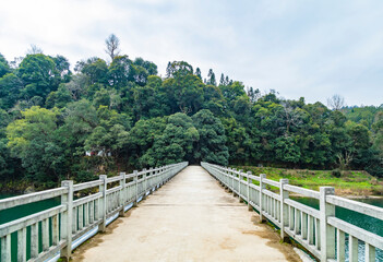 Fototapeta premium bridge over the river