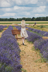 Young woman in a lavender field holding a bouquet of lavender a sunny day.