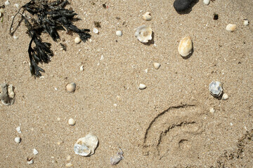 WiFi sign is drawn on the sand, next to algae and shells, on the seashore, on a sunny summer day. Copy space. Top view. 