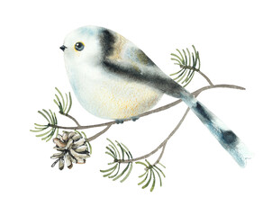 Bird on a branch in winter. Decoration with wildlife scene. Watercolor hand drawn illustration