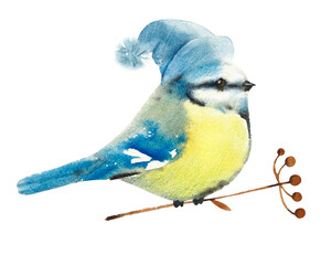 Bird on a branch in winter. Pattern with titmouse in the hat. Watercolor hand drawn illustration