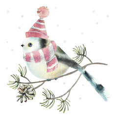 Bird on a branch in winter. Pattern with bird in the hat. Christmas postcard. Watercolor hand drawn illustration