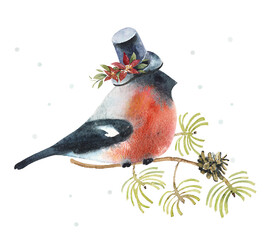 Bird on a branch in winter. Pattern with bullfinch in the hat. Winter. Watercolor hand drawn illustration.