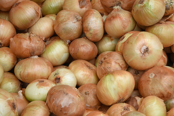 Zwiebeln auf türkischem Markt