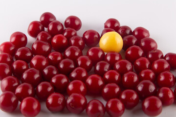 Heap of red cherries and one yellow lay on white background