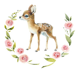 Deer cub. Composition in a roses  wreath. Watercolor hand drawn illustration.