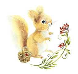 Red Squirrel. Decoration with animal and floral elements. Pattern from forest inhabitant. Watercolor hand drawn illustration. 