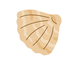 Shell in doodle style. Sea shell of aquatic animal mussel.