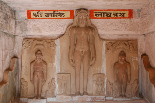 Jina Images from Deogarh, Lalitpur