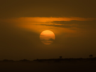 Dusty Sunset On Masai Mara