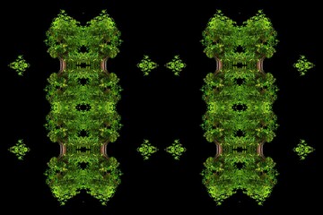 3d render illustration, Unique picture of summer Artwork