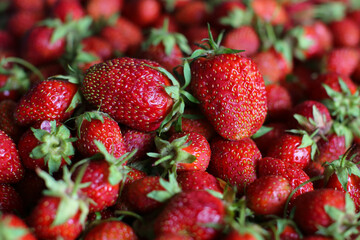 ripe fresh strawberries, berry blurred background