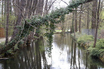 Flusslandschaft in der Stille im Frühjahr mit Efeu romantische Flussbiegung 516197127