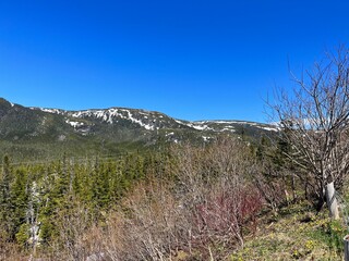 The shore of Newfoundland, Canada in sunny day