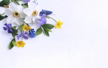White daffodils and lilac violets in a spring bouquet on a white background. Background for a...