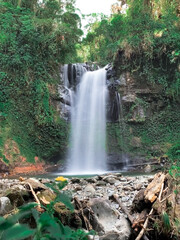 Obraz premium waterfall in the woods