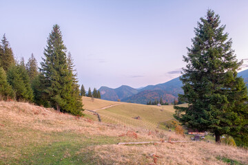Beautiful view of mountains in Ukraine. Wonderful panoramic landscape with autumn forest on a sunny day.