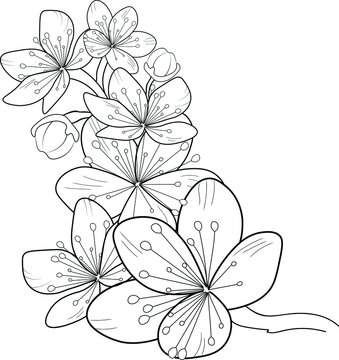 blossom cherry flower coloring page abstract line art